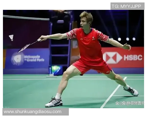 林丹对决胡赟2015丹麦公开赛精彩瞬间回顾与赛后分析
